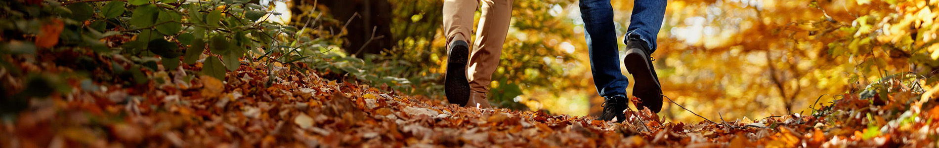 Herbstspaziergänge ohne kalte Füße
